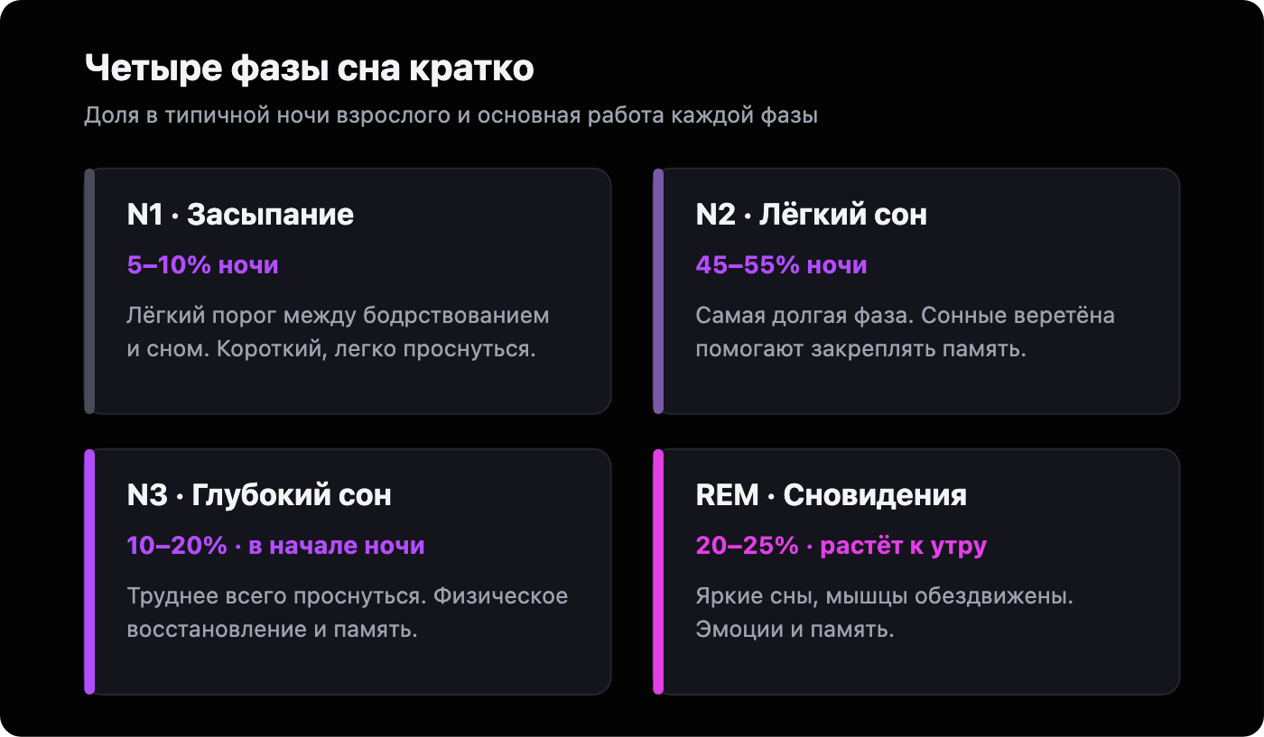 Четыре карточки с обзором фаз сна: N1 (5-10%, засыпание), N2 (45-55%, лёгкий сон), N3 (10-20%, глубокий сон) и REM (20-25%, сновидения).