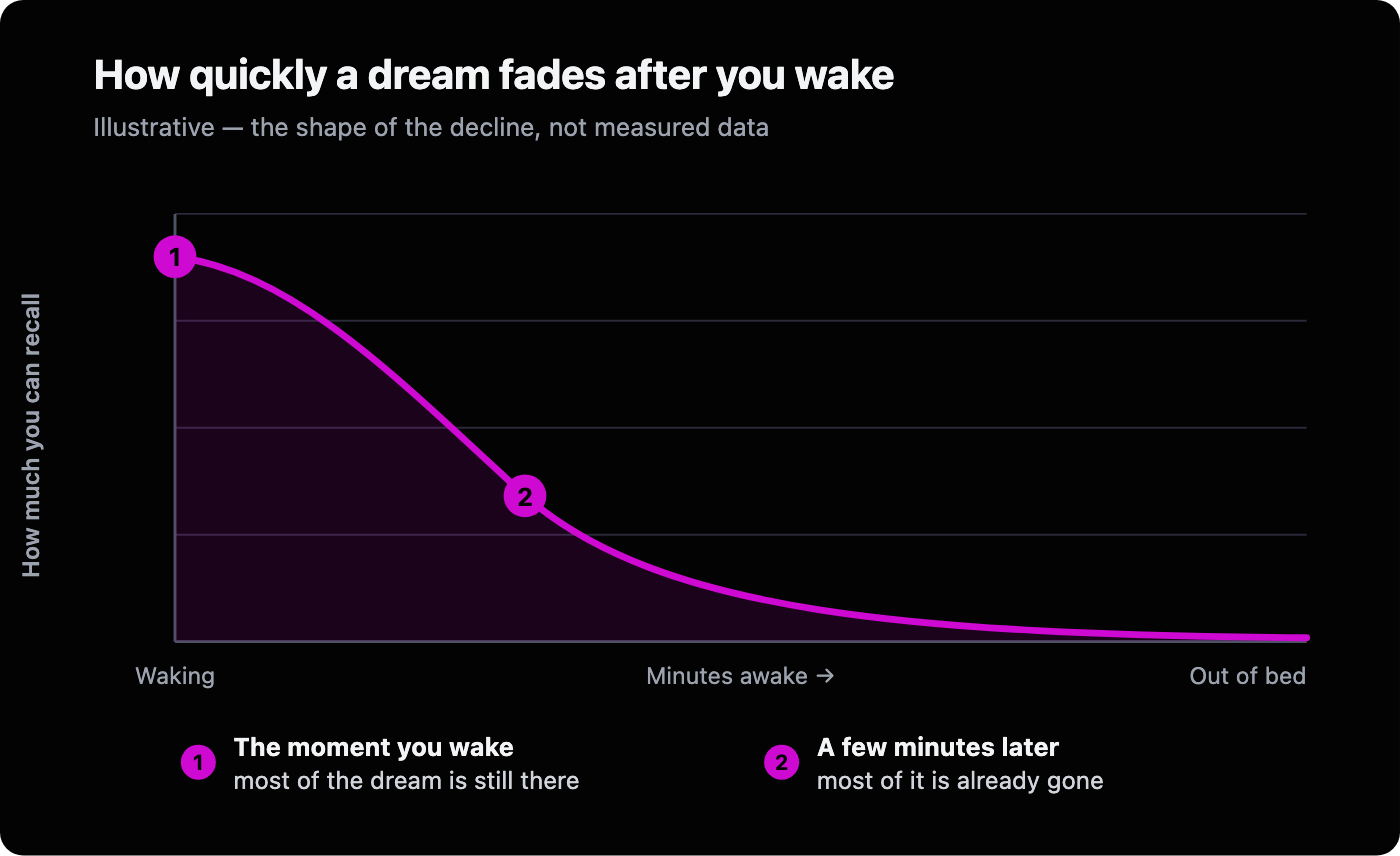 Illustrative curve showing that dream recall is nearly complete the moment you wake, then drops sharply within the first few minutes and flattens close to zero.