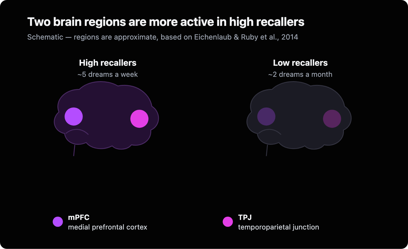 Schematic comparison of two brains: in high recallers the medial prefrontal cortex and temporoparietal junction are brightly active, while in low recallers the same two regions are much fainter.