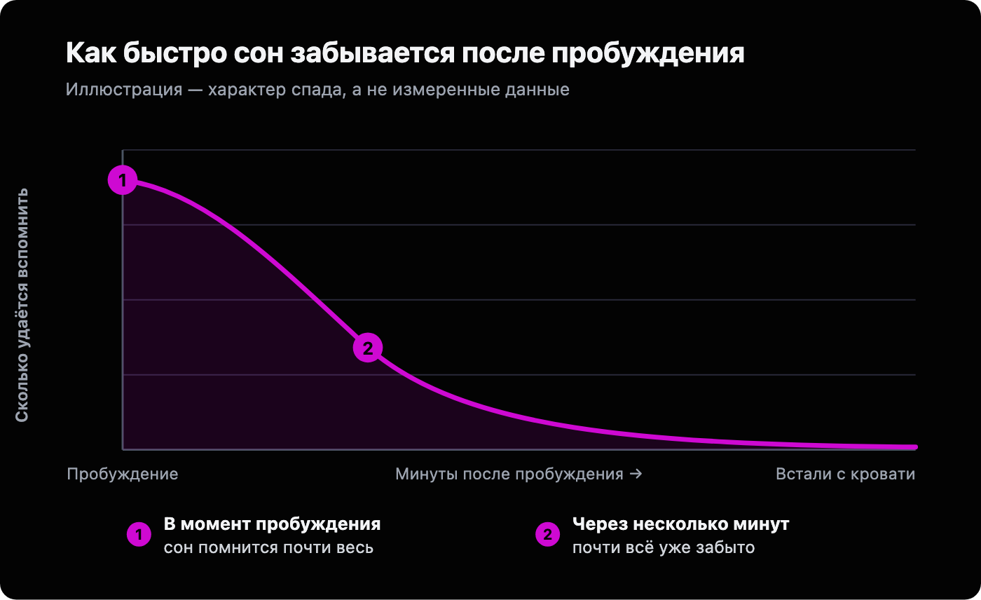 Кривая, показывающая, что сразу после пробуждения сон помнится почти полностью, затем резко забывается за первые минуты и сходит почти к нулю.