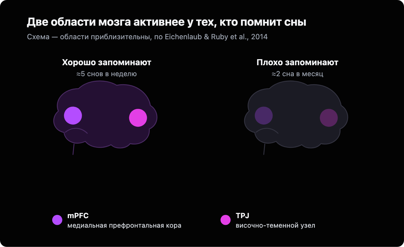 Схематичное сравнение двух мозгов: у хорошо запоминающих медиальная префронтальная кора и височно-теменной узел активны ярко, у плохо запоминающих те же две области гораздо бледнее.