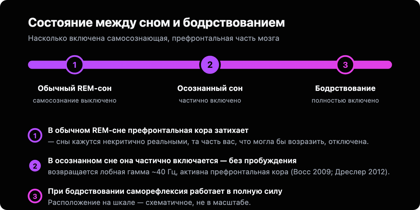Шкала от обычного REM-сна к полному бодрствованию, где осознанный сон расположен между ними: префронтальное самосознание выключено в REM-сне, частично включено в осознанном сне и полностью включено при бодрствовании.