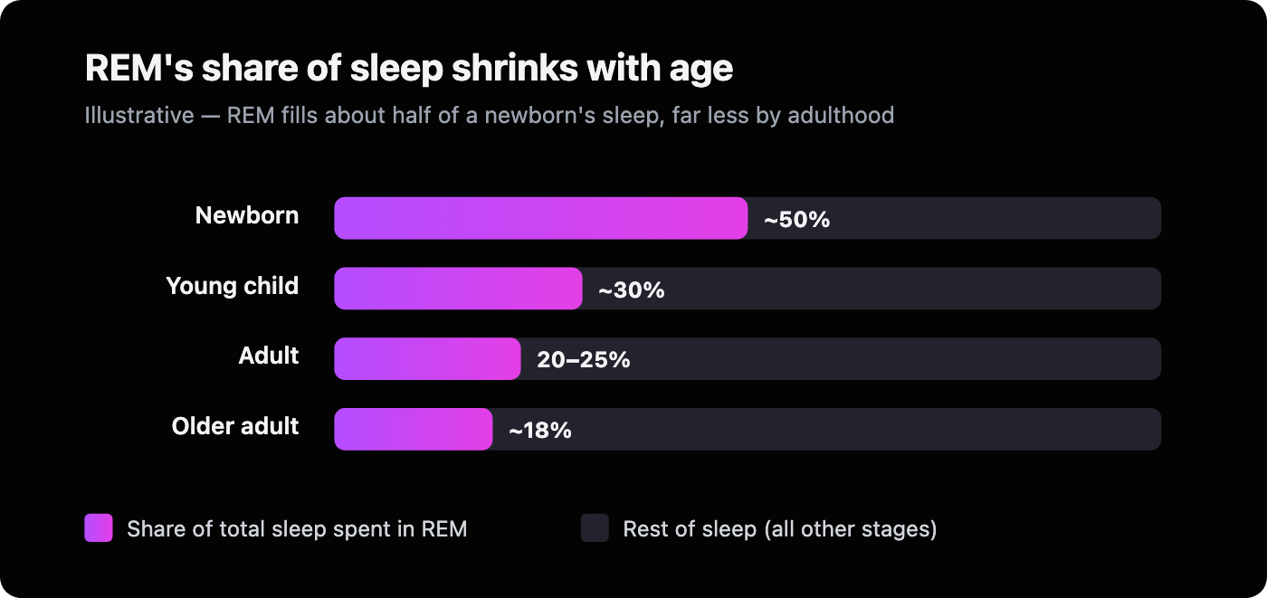 Bar chart: REM makes up about 50% of a newborn's sleep, roughly 30% in young children, 20-25% in adults, and about 18% in older adults.